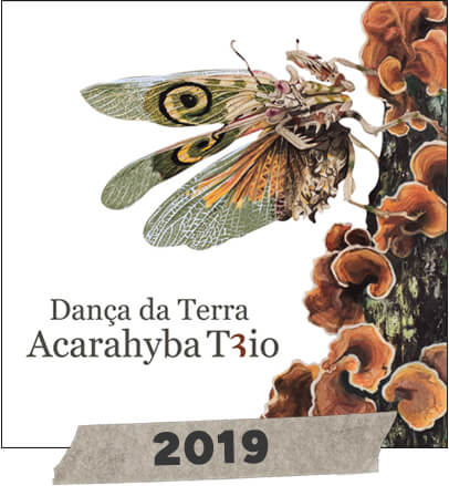 Dança da Terra - Acarahyba Trio